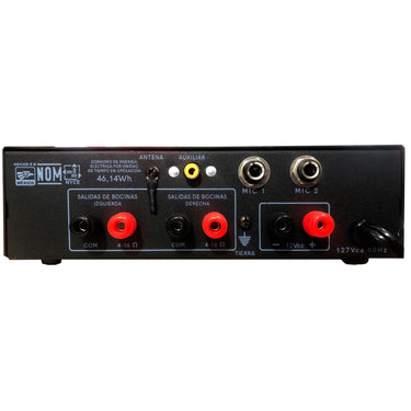 Amplificador Radson 45musb/st Con Lector Usb Sd Bluetooth